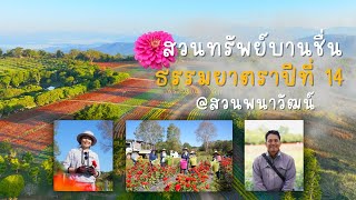  สวนพนาวัฒน์ จ.เชียงใหม่ รวมใจตัดดอกไม้ ส่งตรงถึงวัดใหญ่ เพื่อต้อนรับพระธรรมยาตราบูชาธรรมหลวงปู่