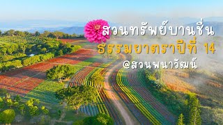 ทรัพย์บานชื่นกว่า 30 ไร่ | บูชาธรรมหลวงปู่ | ธรรมยาตราปีที่ 14 | ณ สวนพนาวัฒน์