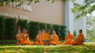 ประมวลภาพ โครงการอุปสมบทสมโภชอุโบสถฯ ศูนย์อบรมวัดพระธรรมกายอิบาราขิ