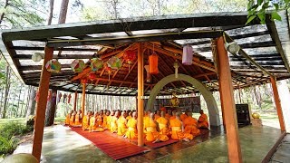 mv โลกคอยความหวัง ภาพโครงการบวชบูชาธรรม วันคุ้มครองโลก พ.ศ.2561